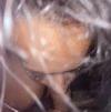 foto do perfil andersonsol